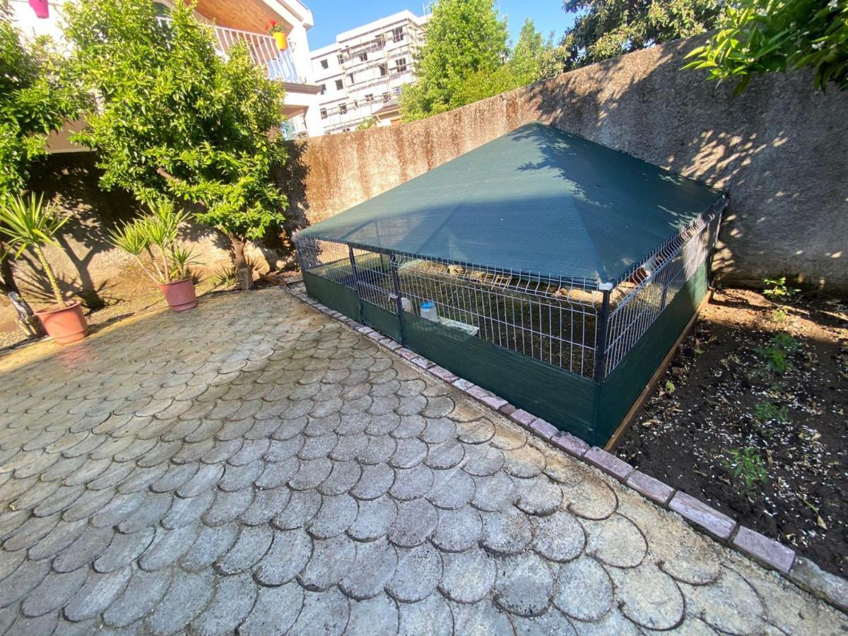 Gather Inn Guest House Shkodër 외부 사진