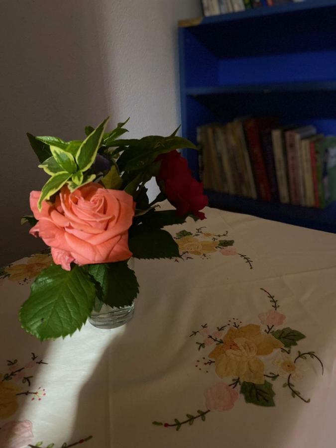 Gather Inn Guest House Shkodër 외부 사진