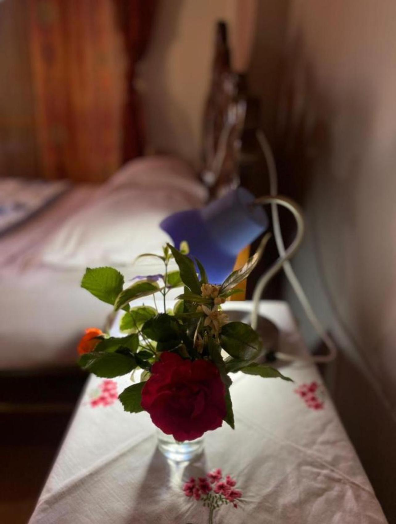 Gather Inn Guest House Shkodër 외부 사진